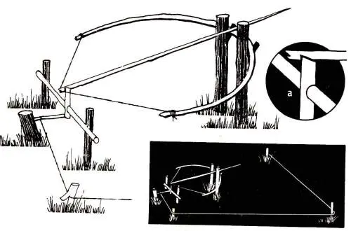Простейший лук сделанный из подходящего дерева см раздел Оружие в - фото 6