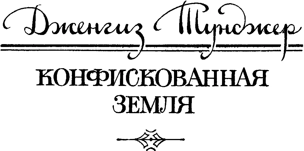 Дженгиз Тунджер КОНФИСКОВАННАЯ ЗЕМЛЯ ГЛАВА ПЕРВАЯ Пусть сгорит с деньгами - фото 1