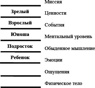 Рис 14 Схема уровней зрелости Подчеркнем что в данной классификации - фото 14