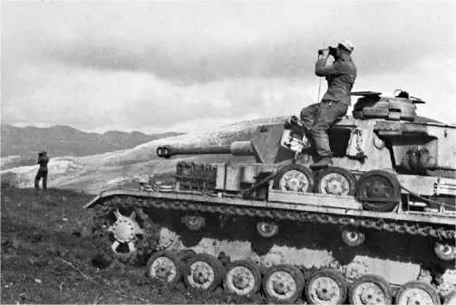 PzIV AusfG 10я танковая дивизия Тунис 1943 год Только небольшому числу - фото 80