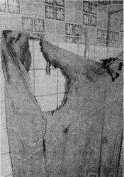 Рис 87 Обгорелая занавеска в ванной комнате Рис 88 Инспектор - фото 88