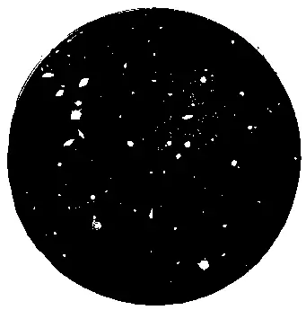 В поле зрения телескопа видны далекие галактики Бесконечно многообразна - фото 45