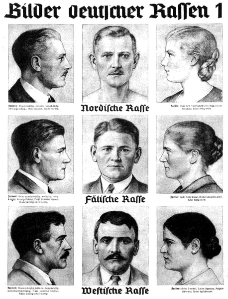 Таблица немецких рас Плакат 1935 г В иерархии рас выше всех стояли - фото 26