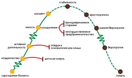 Рис 3 Графическая взаимосвязь этапов развития бизнеспроцессов Глава 1 - фото 2