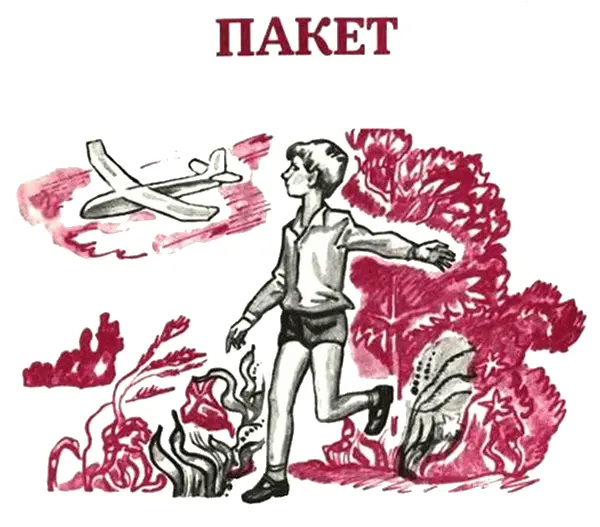 Из школы шагая Домой на обед К груди прижимает Иринка пакет Пакет тот - фото 3