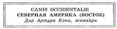 Canis occidentalis латинское название волка Посвятив несколько недель - фото 5