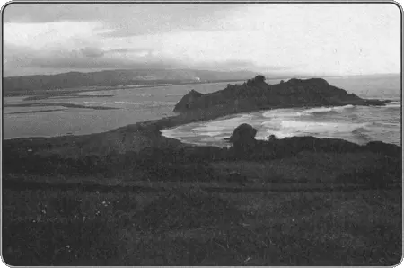 Устье Биобио Современная фотография В новом городе насчитывается около - фото 84