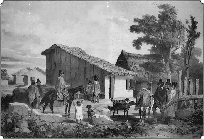 Луи Ле Бретон Жители Консепсьона 1846 г Средняя цена большого быка - фото 85