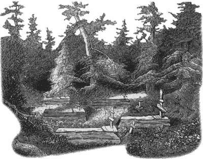 Глава XVIII Июль 1787 Мы продолжаем идти на север Вдалеке на востоке видим - фото 213