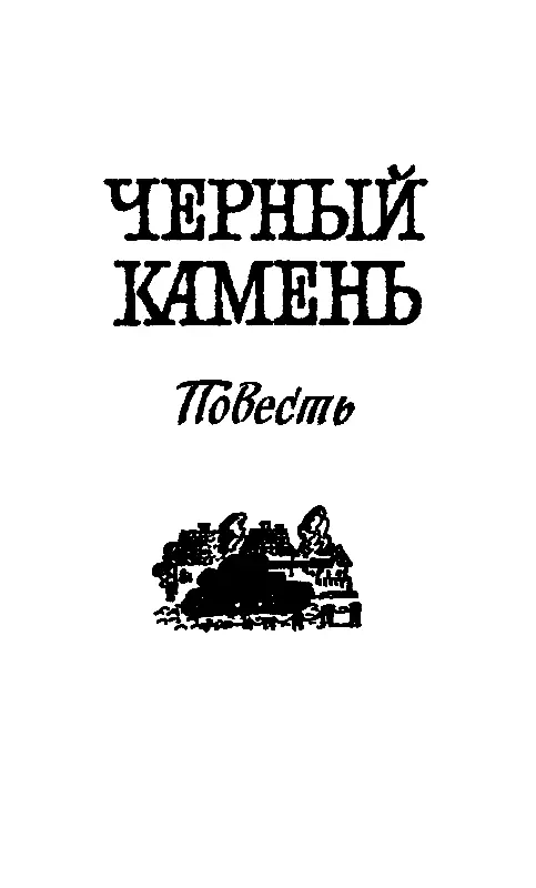ЧЕРНЫЙ КАМЕНЬ Незванный гость Я родился в среднерусском селе Клёнове Мой - фото 12