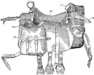 Рис 80Верхововьючное седло обр 1909 г в собранном виде 77 верхний - фото 107