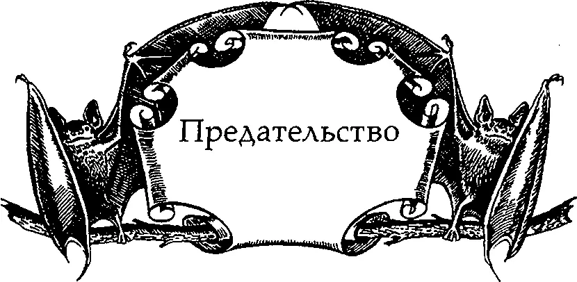 Я хочу в джунгли вместе с тобой Гот озадаченно посмотрел на Шейда Они - фото 18