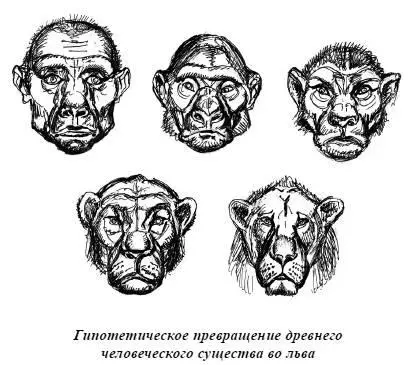 Завидя марширующих масаев львы хорошо зная их стремятся побыстрей скрыться - фото 58
