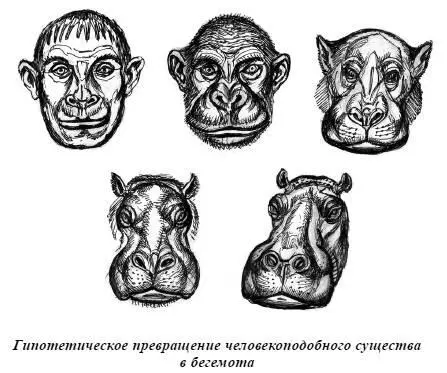 В тихих заводях мамаши устраивают детских сад для своих чад В одном таком - фото 69