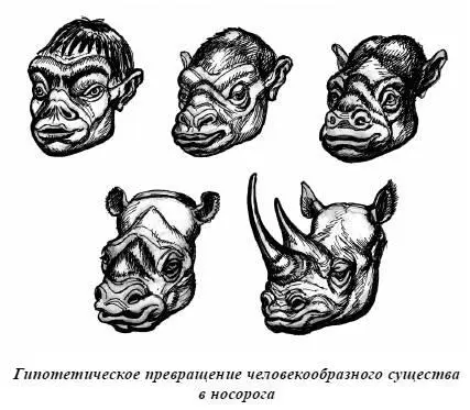 Местные аборигены рассказывают веселую историю В Африке некогда бушевал - фото 72