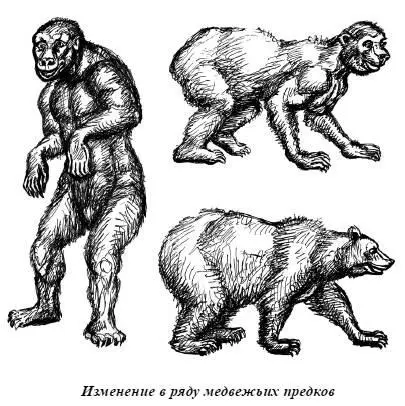 И в этом современный человек отнюдь не оригинален Древние мифы проливают свет - фото 79