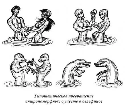 Свойственная дельфинам игривость и отсутствие враждебности по отношению к - фото 90