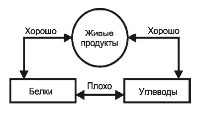 Рис 2 Совместимость продуктов Механизм отторжения смеси из белков и углеводов - фото 9