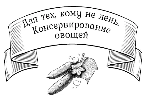 Консервирование овощей Огурцы консервированные На 10 банок вместимостью 05 - фото 21