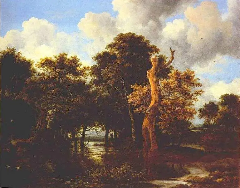 Якоб Исаакс ван Рейсдал 162816291682 Лесное болото с мертвым деревом Около - фото 35