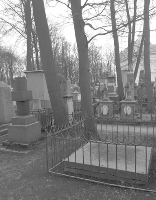 Могила Андрея Тургенева Фотография 2015 года Заключение В главе VII - фото 27