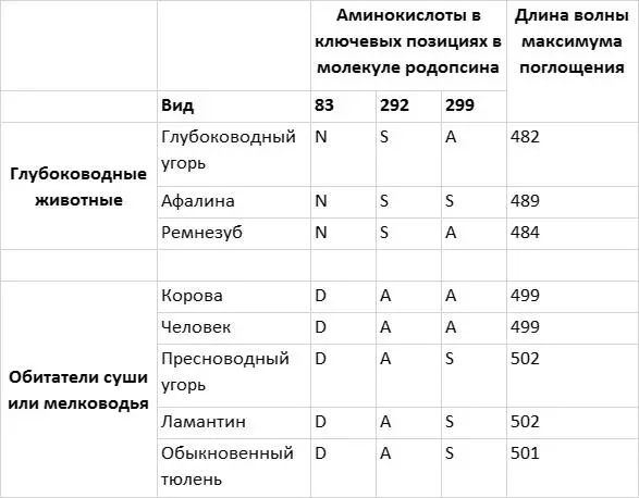 Рис 46 Настройка родопсина зависит от глубины на которой обитают морские - фото 35