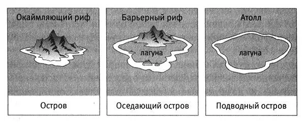 Рис 81 Образование кораллового рифа Дарвин предположил что три основные - фото 63