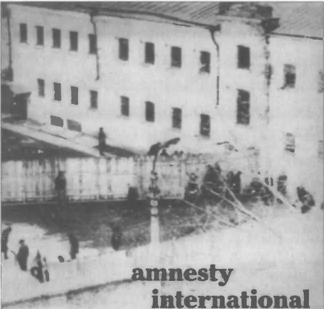 Совместный проект Александра Варды и правозащитной организации Amnesty - фото 121