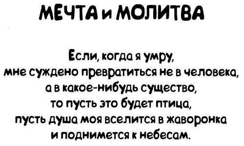 Ростки идеи сарказм и тайны времени Наконец выдался такой день как я люблю - фото 22