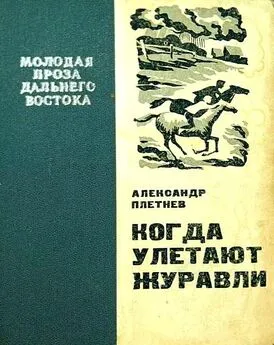 Александр Плетнев - Когда улетают журавли