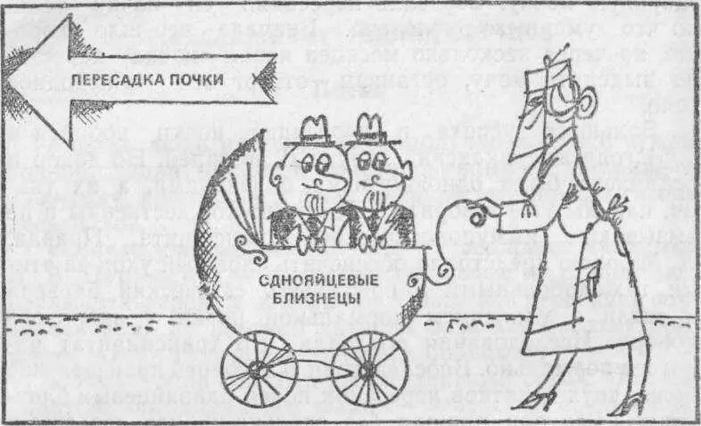 На операцию Иммунодепрессивные химиопрепараты стали исследовать научные - фото 49