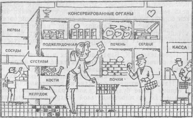 Универсам будущего Впервые подобная операция была сделана человеку К - фото 65