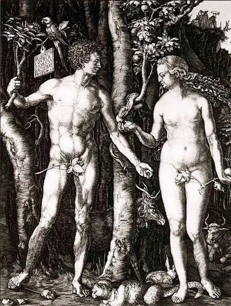 Альбрехт Дюрер 14711528 Адам и Ева 1504 Гравюра на меди 248x195 В 1503 - фото 23