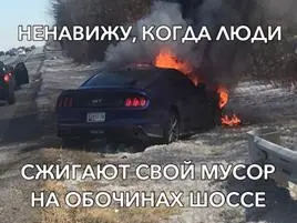 Ненавижу когда люди сжигают свой мусор на обочинах шоссе МэдокЭй Джаред - фото 20