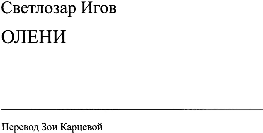 Неканонический постмодернизм Светлозара Игова Роман Олени 1998 явление - фото 2