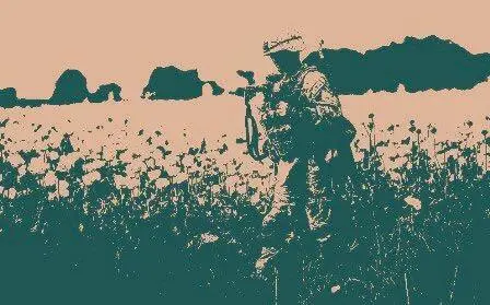 Хамара хозяина всё устраивает если он чтото решит изменить в этой ситуации - фото 33