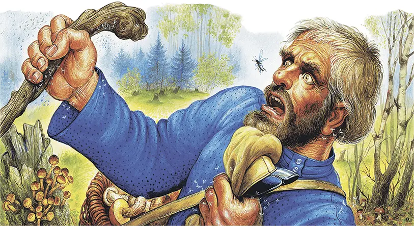 Вскрикнул Грибник замахал батожком грибы выронил А Комар увернулся в - фото 123