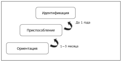 Рис 31Жизненный цикл адаптации В жизненном цикле адаптационного процесса - фото 43