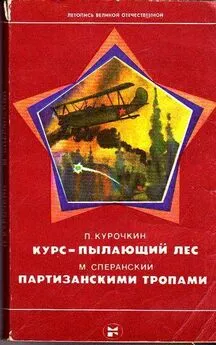 П. Курочкин - Курс — пылающий лес. Партизанскими тропами