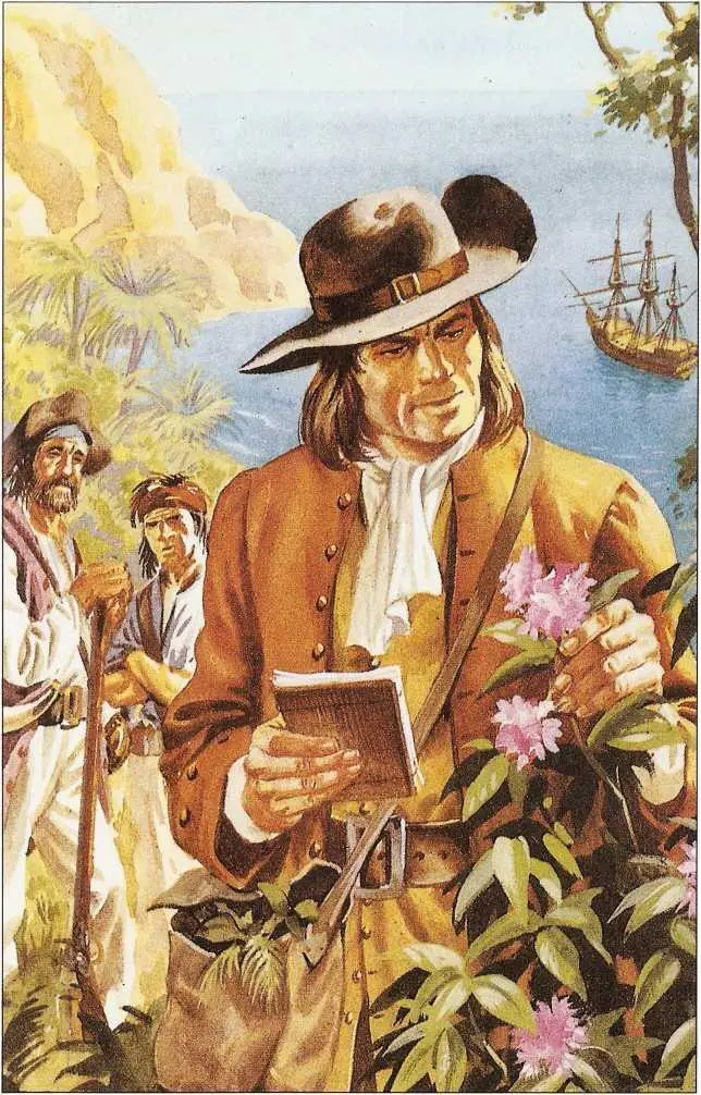 Капитан Гау Многие пираты начинали свою жизнь честными моряками Затем - фото 9