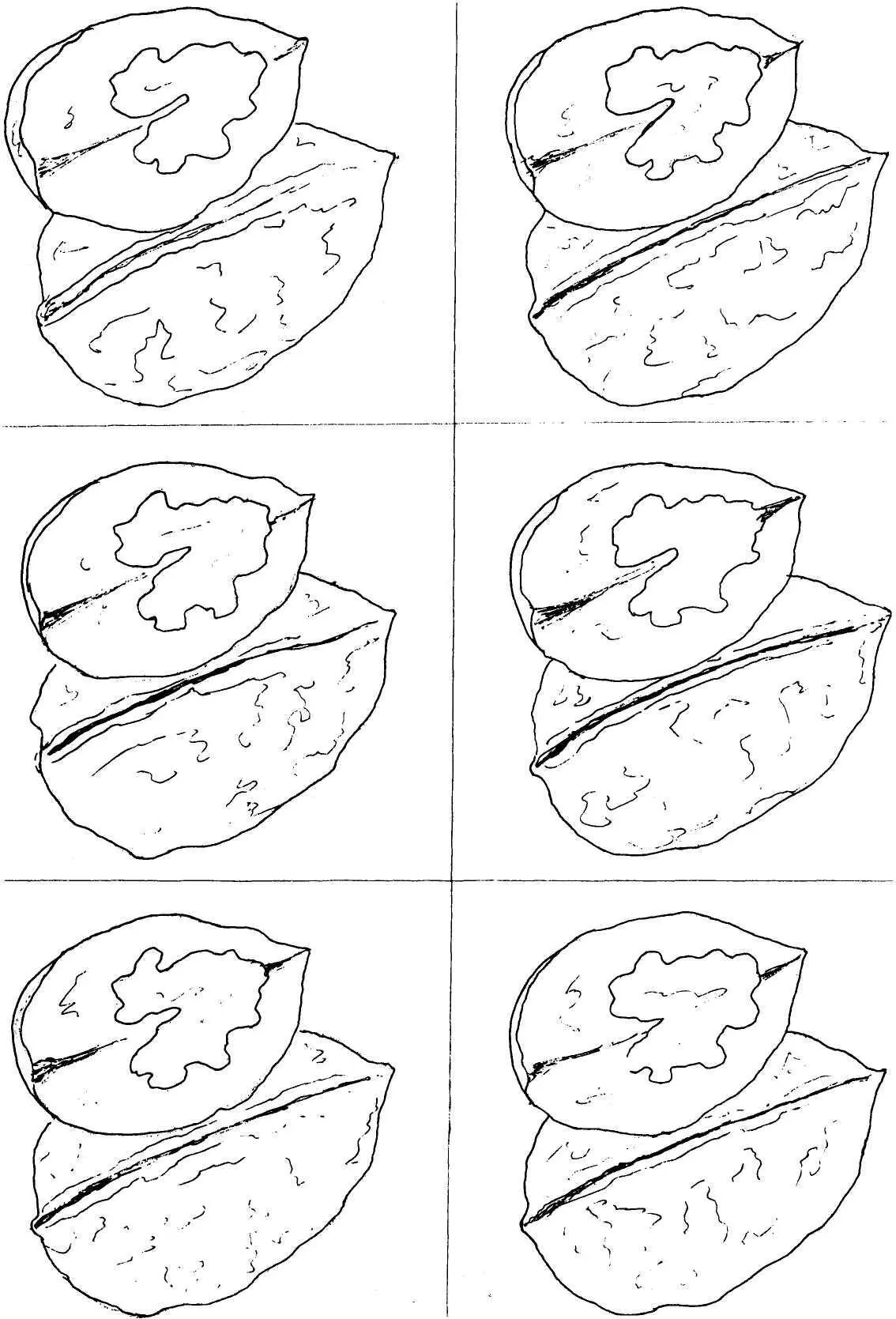 Овощи и фрукты полезные продукты Раскраска - фото 28