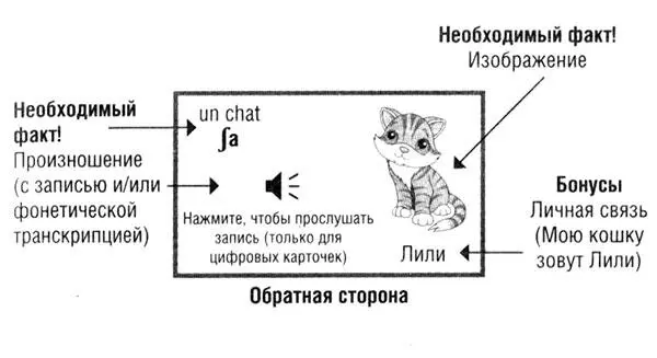 Карточки второго типа какое слово соответствует этой картинке произношение - фото 37