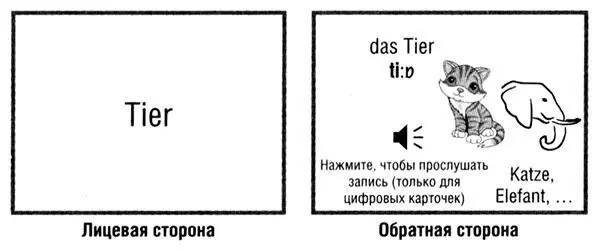 Откуда вам знать что Tier означает животное а не млекопитающее или - фото 48