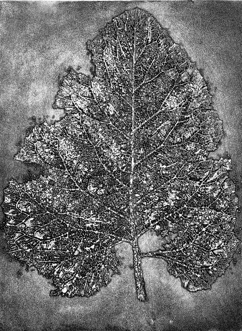 Дмитрий Плавинский Космический лист 1975 Один из самых его грандиозных - фото 61