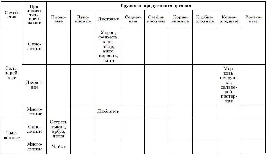 Место каждого овощного растения с учетом принадлежности к соответствующему - фото 6