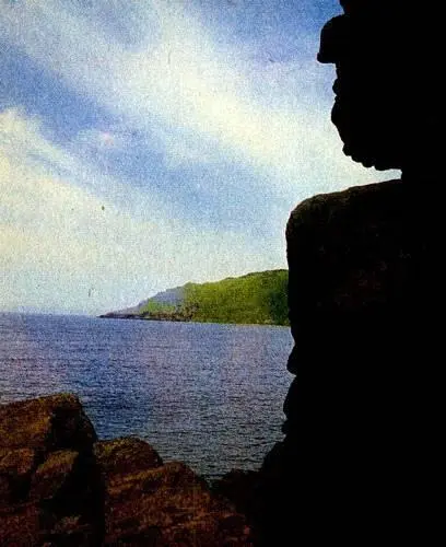 Прощай Монерон В толще воды всевозможных рыб было множество Иногда они - фото 22