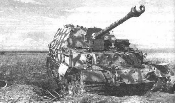 На фото вверху САУ Ferdinand 5й рогм 654го дивизиона истребителей танков - фото 127
