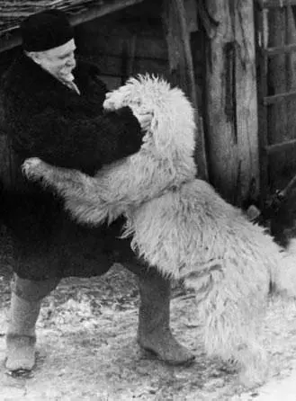 Дед с Фрамом Деденево весна 1941 г Справка об эвакуации выданная Г Н - фото 160