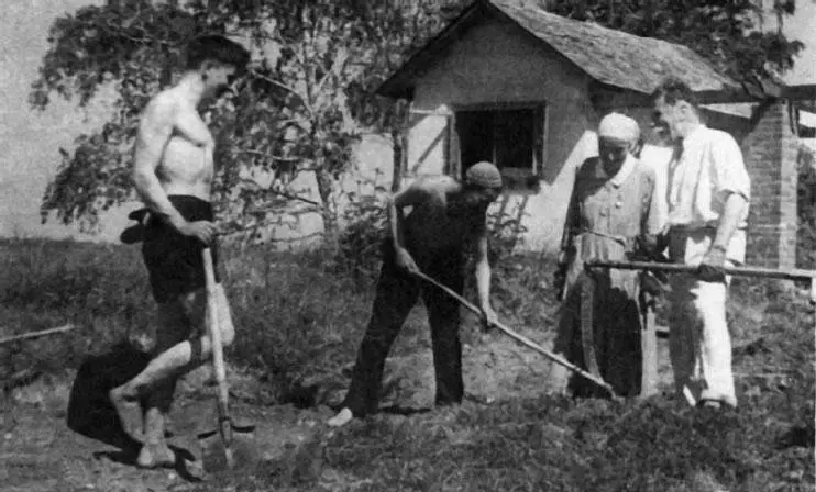 Адриан и Володя засыпают траншею перед домом вырытую в начале войны - фото 240