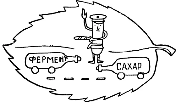 Представителей ОРУДа сменяют регулировщики военного времени Это так - фото 57